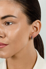 Hõbedased kõrvarõngad naistele Brilio Silver EA672WB sBS2867 hind ja info | Kõrvarõngad | hansapost.ee