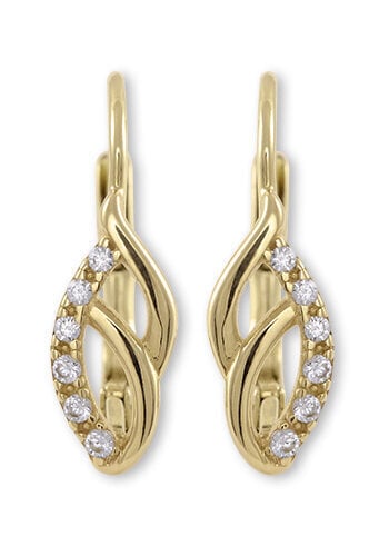 Kuldsed kõrvarõngad kristallidega naistele Brilio sBR1966 hind ja info | Kõrvarõngad | hansapost.ee