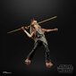 Kuju Star Wars The Black Series Jar Jar Binks Hasbro F0490 цена и информация | Mänguasjad poistele | hansapost.ee