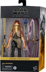 Kuju Star Wars The Black Series Jar Jar Binks Hasbro F0490 hind ja info | Hasbro Star Wars Lelud | hansapost.ee