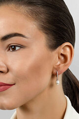 Hõbedased kõrvarõngad naistele Brilio Silver EA650W sBS2375 hind ja info | Kõrvarõngad | hansapost.ee