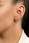 Kõrvarõngad naistele Brilio Silver EA159R sBS1337-22 цена и информация | Kõrvarõngad | hansapost.ee