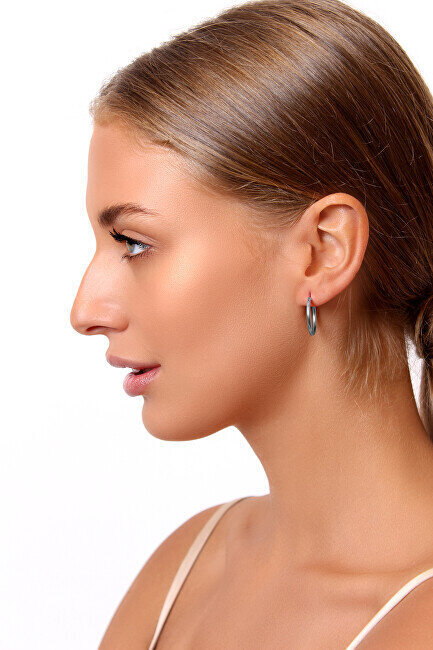 Hõbedased kõrvarõngad naistele Brilio EA020 sBS0966-5 цена и информация | Kõrvarõngad | hansapost.ee