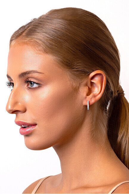 Kõrvarõngad läbipaistvate tsirkoonidega naistele Brilio sBR2029 hind ja info | Kõrvarõngad | hansapost.ee