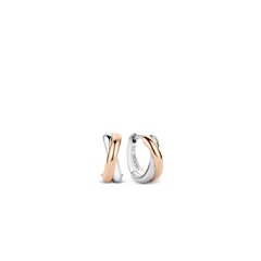 Kõrvarõngad naistele Ti Sento 7667SR S7213966 цена и информация | Серьги C Shape 14K золотые серьги Matte Gold Teall Adhess Sears для фестиваля | hansapost.ee