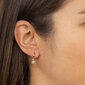 Kõrvarõngad naistele Vidal & Vidal X76436 S7253239 hind ja info | Kõrvarõngad | hansapost.ee