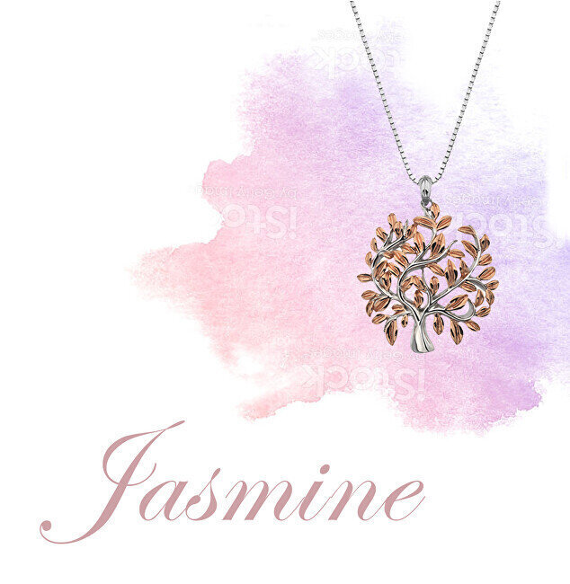 Hõbedast kaelakee teemandiga naistele Hot Diamonds Jasmine DP701 hind ja info | Kaelakeed | hansapost.ee