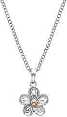 Hot Diamonds Ожерелье с серебряным цветком Не забывай меня DP749 цена и информация | Украшения на шею | hansapost.ee