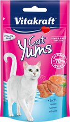 Vitakraft Cat Yums для кошек, с лососем, 40 г цена и информация | Лакомства для кошек | hansapost.ee