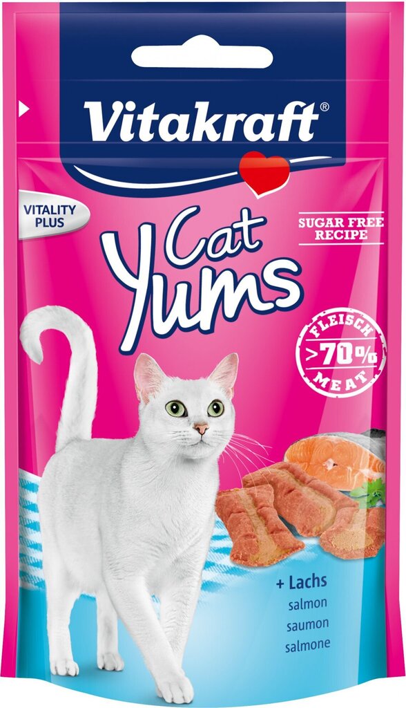 Maiused kassidele Vitakraft Cat Yums, lõhega, 40g цена и информация | Kasside maiused | hansapost.ee