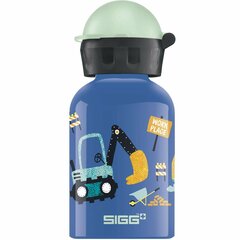 Бутылка для воды Sigg 9001.9 (Пересмотрено A+) цена и информация | Бутылки для воды | hansapost.ee