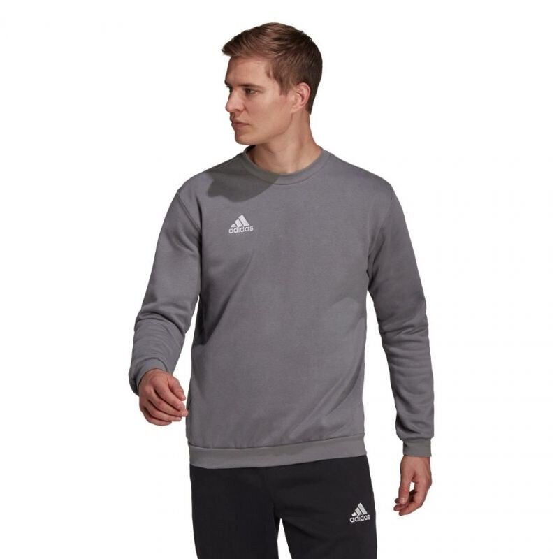 Adidas Džemprid Ent22 Sweat Top Grey H57479 цена и информация | Spordiriided meestele | hansapost.ee