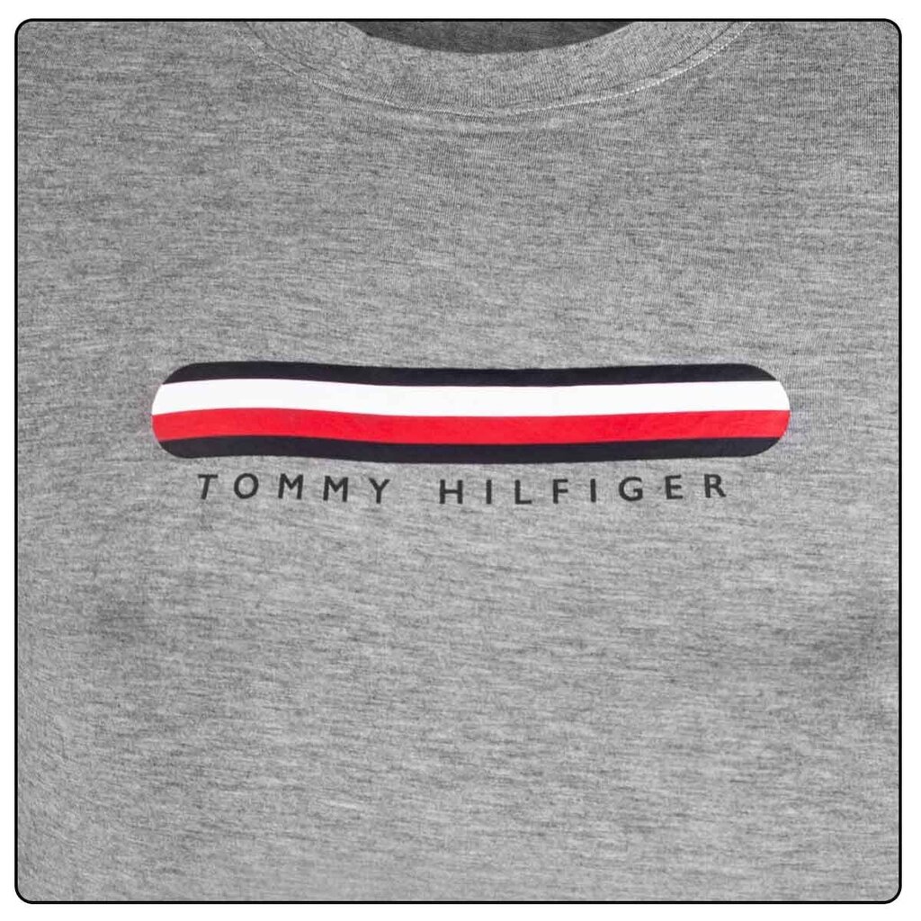 Tommy Hilfiger meeste T-särk T-SHIRT CN SS TEE, hall UM0UM02348 P4A 42066 цена и информация | T-särgid meestele | hansapost.ee