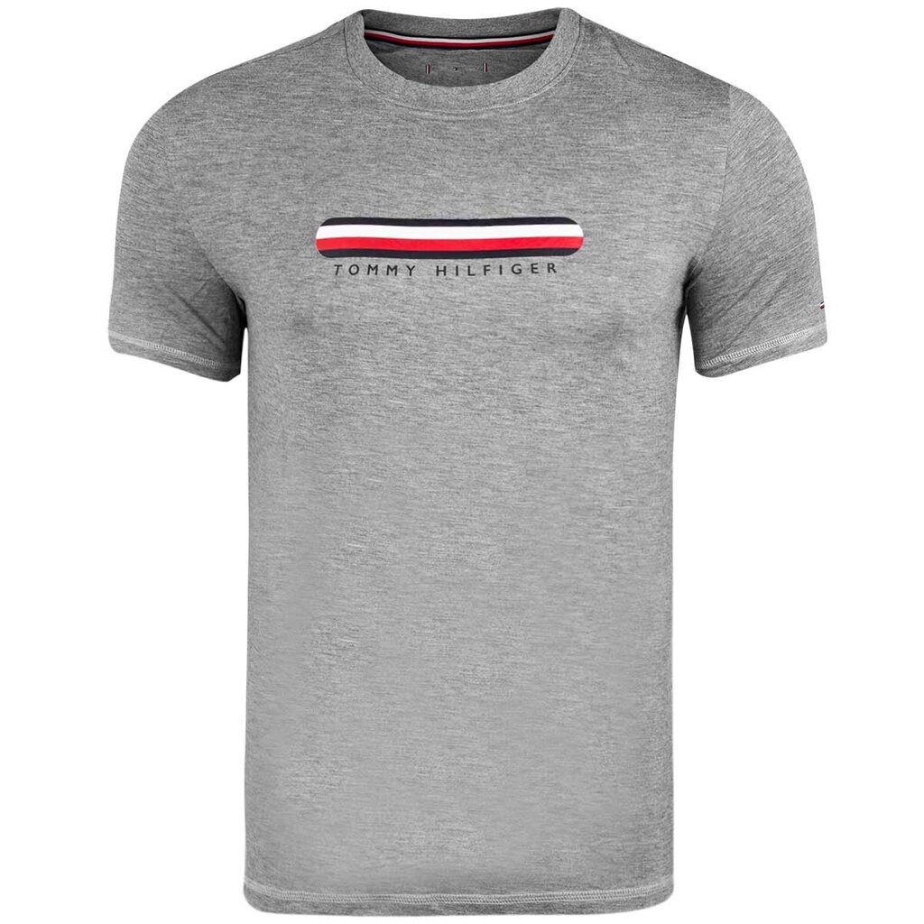 Tommy Hilfiger meeste T-särk T-SHIRT CN SS TEE, hall UM0UM02348 P4A 42066 цена и информация | T-särgid meestele | hansapost.ee