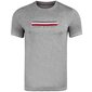 Tommy Hilfiger meeste T-särk T-SHIRT CN SS TEE, hall UM0UM02348 P4A 42066 цена и информация | T-särgid meestele | hansapost.ee