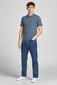 Meeste polosärk Jack & Jones 12136516GRISAILLE-M цена и информация | T-särgid meestele | hansapost.ee