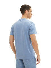 Мужская футболка Regular Fit 1035617.12364 цена и информация | Мужские футболки | hansapost.ee