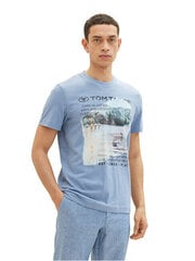 Мужская футболка Regular Fit 1035617.12364 цена и информация | Мужские футболки | hansapost.ee