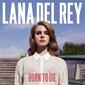 Lana Del Rey - Born To Die, 2LP, vinüülplaat, 12" vinyl record hind ja info | Vinüülplaadid, CD, DVD | hansapost.ee