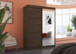 Riidekapp ADRK Furniture Jordi, pruun цена и информация | Kapid | hansapost.ee