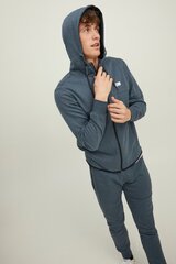 Спортивная кофтa Jack&Jones цена и информация | Мужские толстовки | hansapost.ee