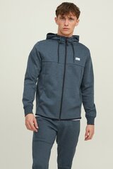 Спортивная кофтa Jack&Jones цена и информация | Мужские толстовки | hansapost.ee