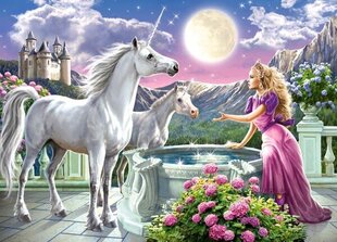 Puzzle 120 Princess and her Unicorns 13098 цена и информация | Пазлы | hansapost.ee