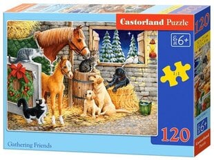 Puzzle 120 Gathering Friends 13340 цена и информация | Пазлы | hansapost.ee