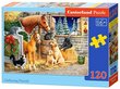 Puzzle 120 Gathering Friends 13340 цена и информация | Pusled lastele ja täiskasvanutele | hansapost.ee