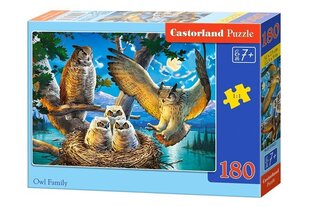 Pusle 180 Owl Family 18437 hind ja info | Pusled lastele ja täiskasvanutele | hansapost.ee