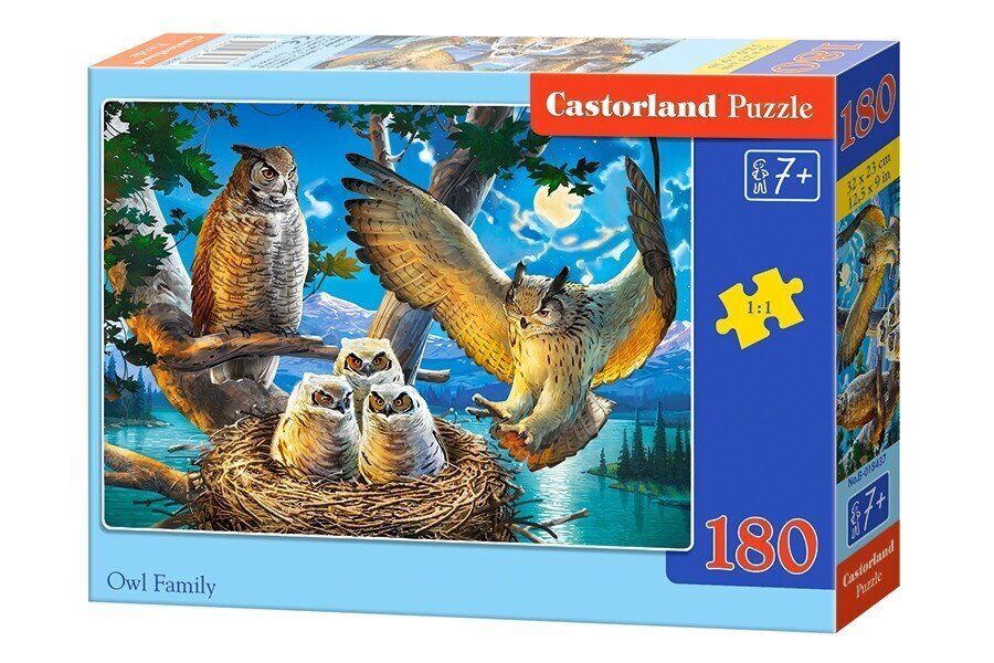 Pusle 180 Owl Family 18437 цена и информация | Pusled lastele ja täiskasvanutele | hansapost.ee