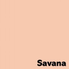 Värviline paber Image Coloraction, A4, Savana, 500 lehte hind ja info | Vihikud, märkmikud ja paberikaubad | hansapost.ee