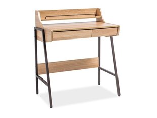 Письменный стол B-168, коричневый цена и информация | Компьютерные, письменные столы | hansapost.ee