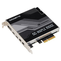 GB Thunderbolt PCIe MAPLERIDGE цена и информация | Внутренние жёсткие диски (HDD, SSD, Hybrid) | hansapost.ee