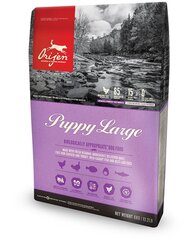 Orijen Puppy Large Breed 6 кг цена и информация | Сухой корм для собак | hansapost.ee
