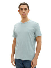 Мужская футболка Regular Fit 1035541.28129 цена и информация | Мужские футболки | hansapost.ee