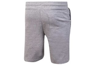 Tommy Hilfiger meeste lühikesed püksid SHORT HWK GRAY UM0UM00707 004 30220 hind ja info | Lühikesed püksid meestele | hansapost.ee