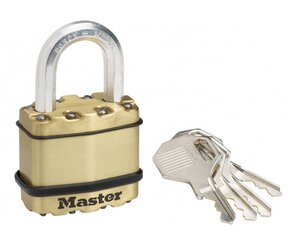 Замок навесной 45мм Excell Masterlock M1BEURD цена и информация | Дверные замки | hansapost.ee