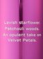 Victoria Secret Velvet Petals Luxe Kehasprei, 250 ml цена и информация | Dušigeelid ja deodorandid naistele | hansapost.ee