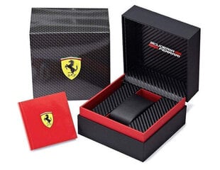 Käekell meestele Scuderia Ferrari 830204 цена и информация | Мужские часы | hansapost.ee