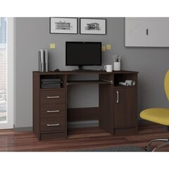 Письменный стол NORE Ana, 124 см, темно-коричневого цвета цена и информация | Компьютерные, письменные столы | hansapost.ee