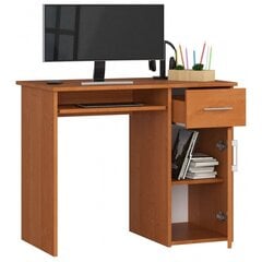 Письменный стол NORE Pin, светло-коричневый цена и информация | Компьютерные, письменные столы | hansapost.ee