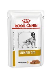 Konserv koertele Royal Canin Urinary S/O linnu- ja sealihaga, 12x100 g цена и информация | Сухой корм для собак | hansapost.ee