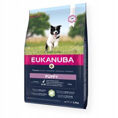 Kuivtoit väikestest ja keskmistest tõugudest koertele Eukanuba Puppy lambaliha ja riisiga, 2,5 kg hind ja info | Koerte kuivtoit ja krõbinad | hansapost.ee