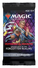 Карточная игра Magic The Gathering: Adventures in the Forgotten Realms Set Booster цена и информация | Настольные игры | hansapost.ee