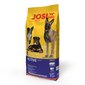 Kuivtoit koertele Josera Josidog Active, 15 kg цена и информация | Koerte kuivtoit ja krõbinad | hansapost.ee