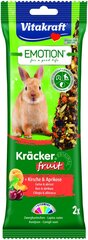 Vitakraft Emotion Kracker Fruit для кроликов, 2 шт. цена и информация | Корм для птиц | hansapost.ee