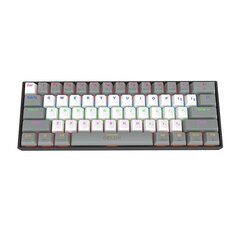 Механическая клавиатура Delux KM33 BT RGB (серо-белая) цена и информация | Клавиатуры | hansapost.ee