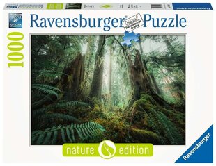 Pusle Ravensburger Forests, 1000 tk. hind ja info | Pusled lastele ja täiskasvanutele | hansapost.ee