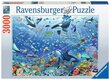 Pusle Ravensburgeri Ookean, 3000 tk. цена и информация | Pusled lastele ja täiskasvanutele | hansapost.ee
